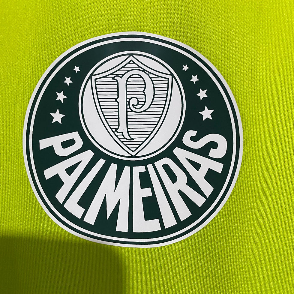 Miniatura: PALMEIRAS PRÉ - JOGO