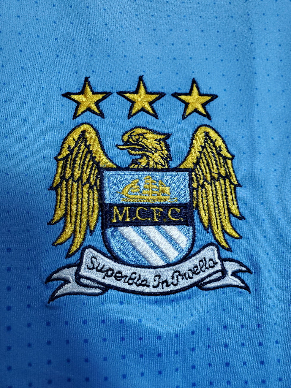 Miniatura: MANCHESTER CITY DE 2011