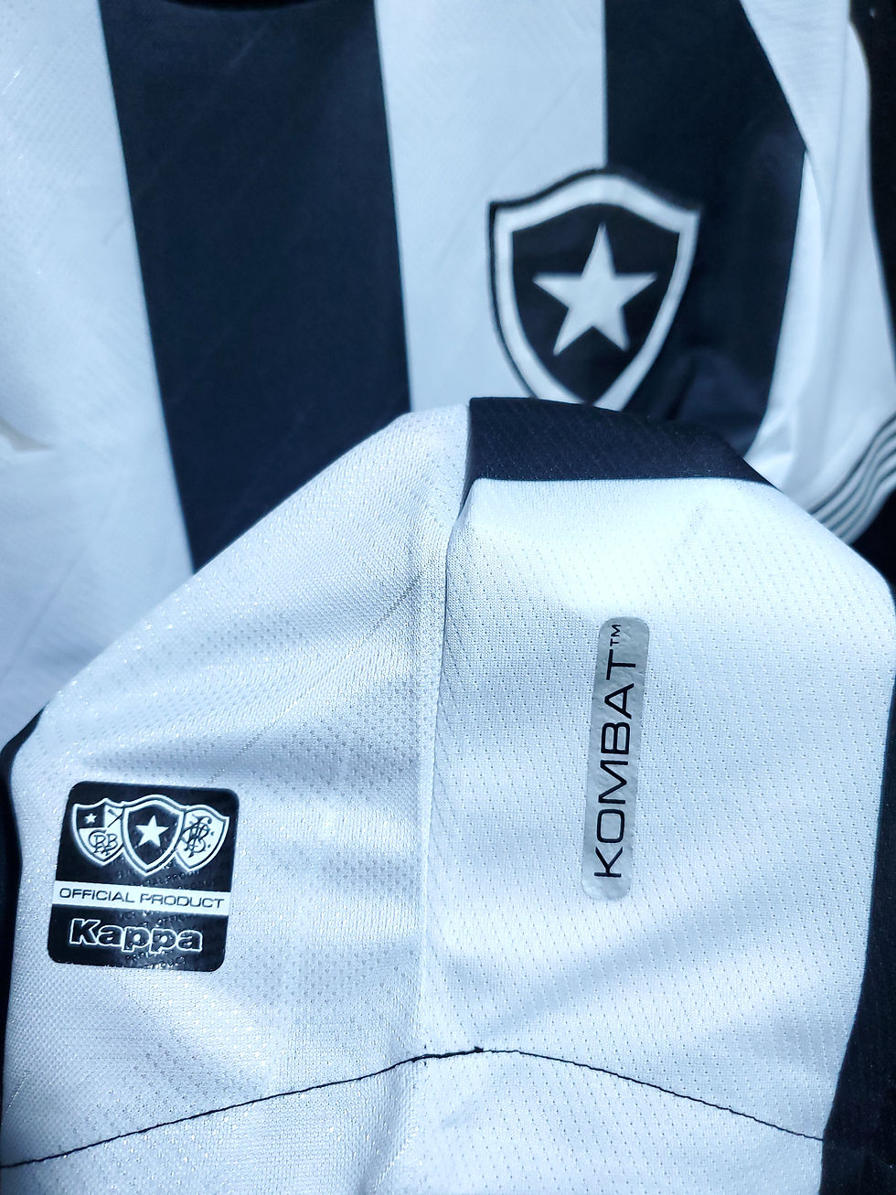 Miniatura: BOTAFOGO - FEMININA