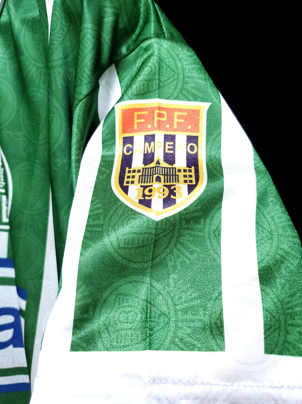 Miniatura: PALMEIRAS 1993/1994