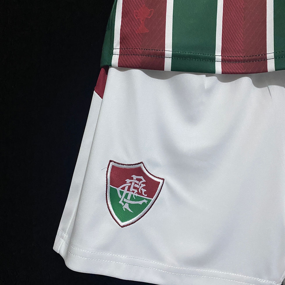 Miniatura: FLUMINENSE I