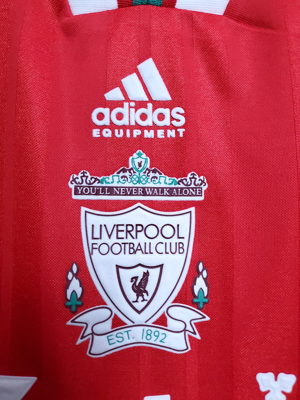 Miniatura: LIVERPOOL DE 1995