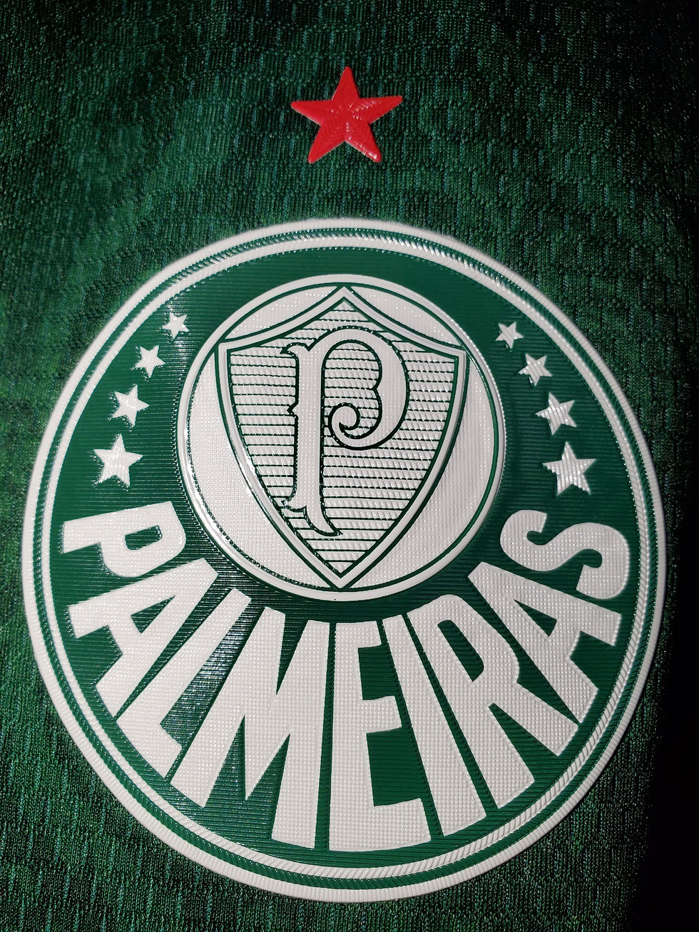 Miniatura: PALMEIRAS UNIF Nº1