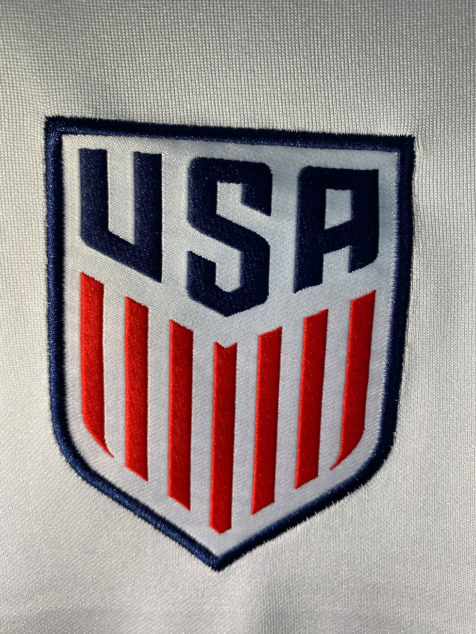 Miniatura: ESTADOS UNIDOS UNIF Nº 1