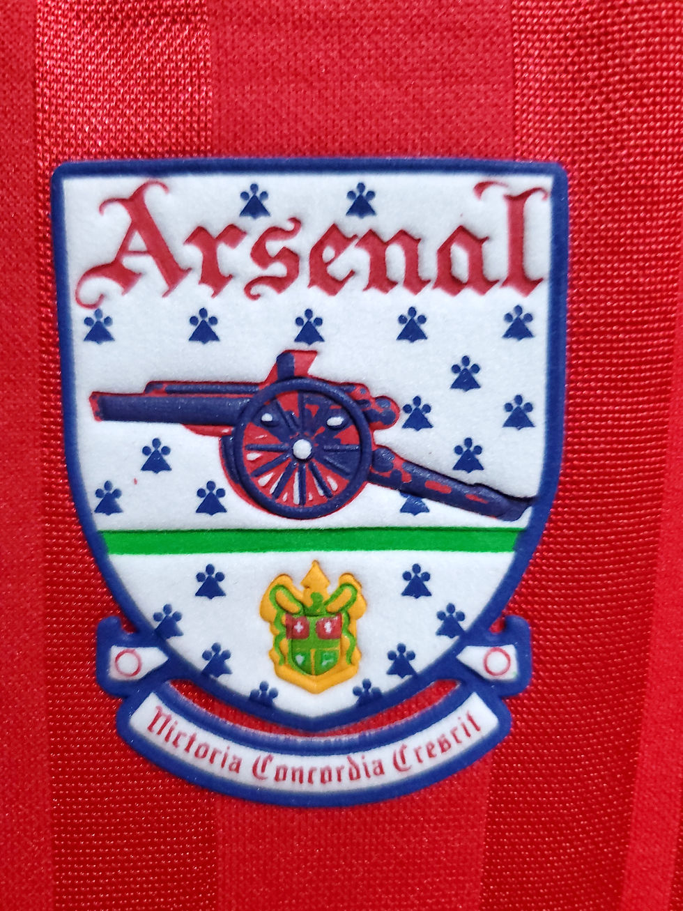 Miniatura: ARSENAL 1992/1993