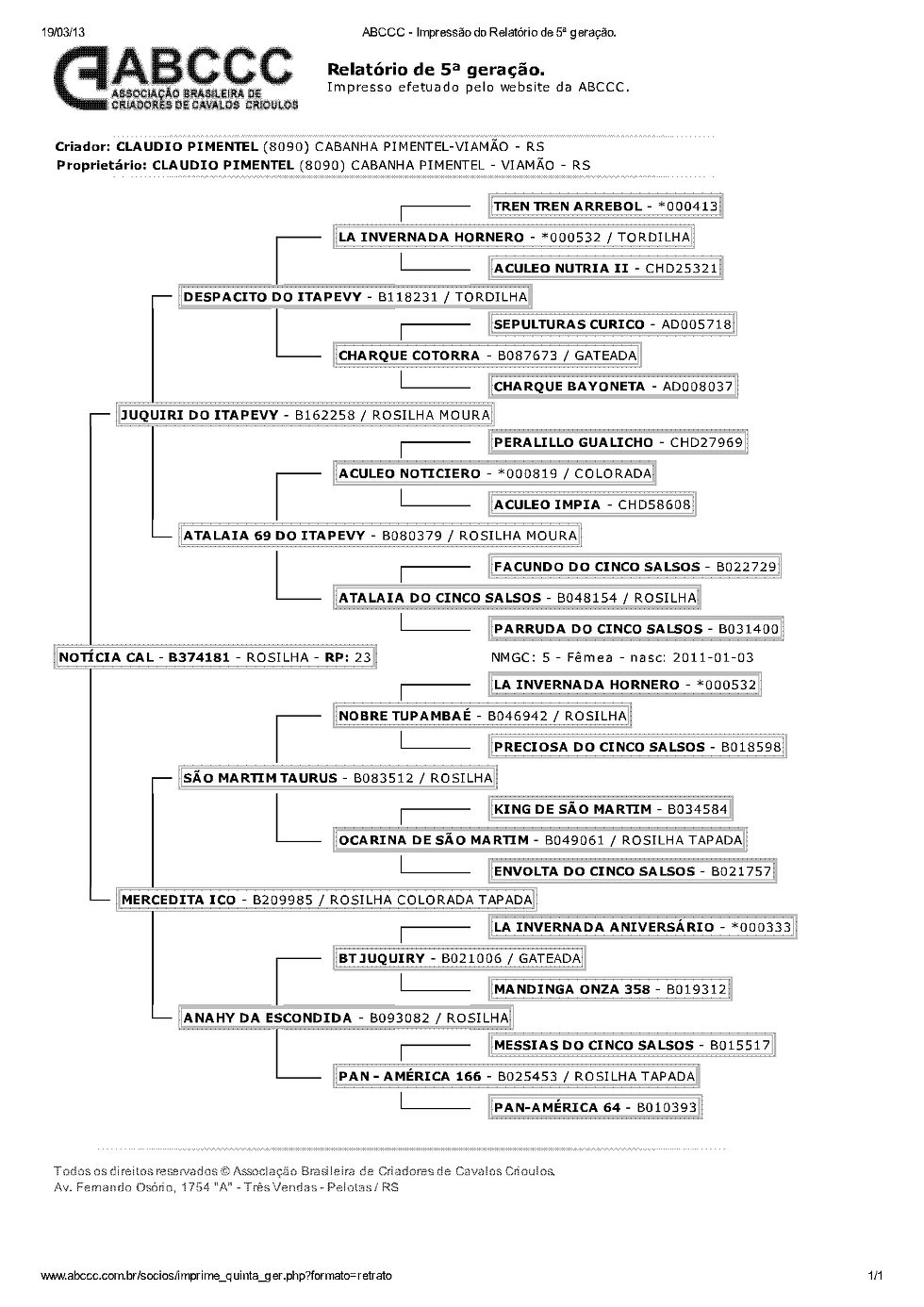 ABCCC - Impressão do Relatório de 5ª geração