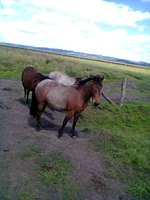 Foto0050
