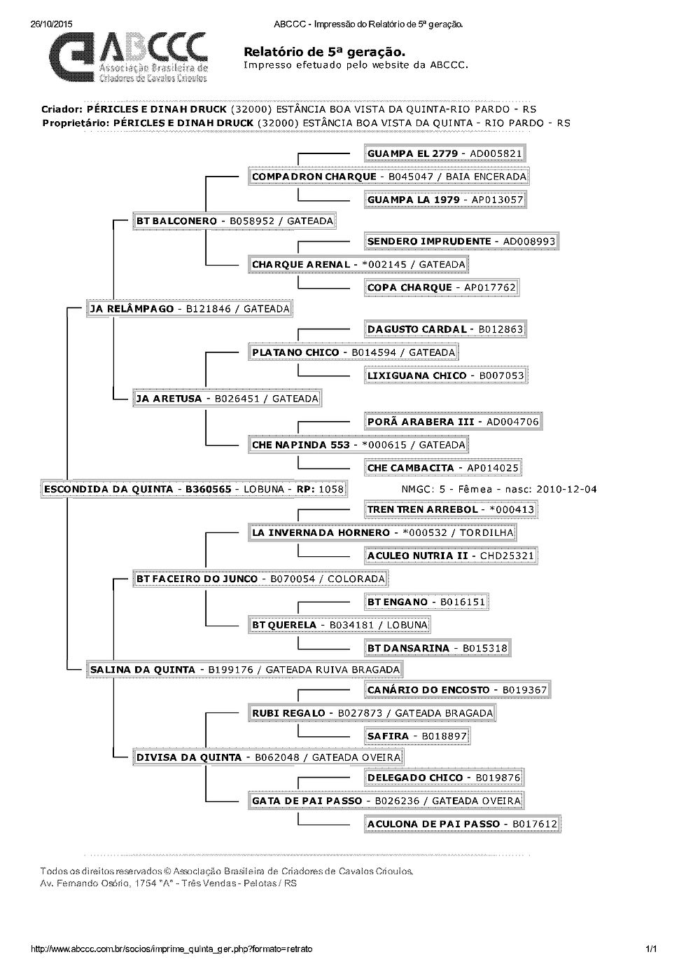 ABCCC - Impressão do Relatório de 5ª geração