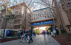 墨爾本大學