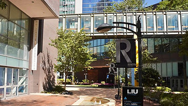 Long Island University