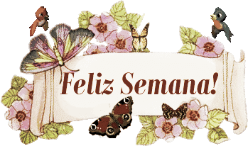 Partilha_Andréa euSOu Amor Fluído