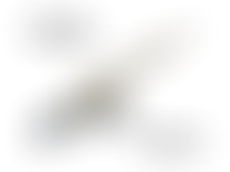 SOLD OUT! Sig M400-Tread 5.56 Raffle 25-015