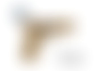 FN Reflex XL MRD 9 mm Raffle 26-065