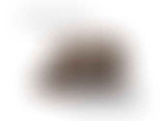 SOLD OUT! Michael Kors Purse Ensemble - Brown Raffle 25-130