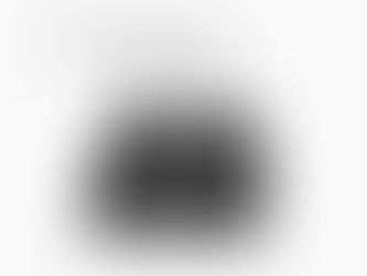 SOLD OUT! Michael Kors Purse Raffle 25-028