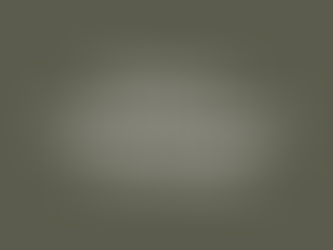 2025 December Semiannual Training