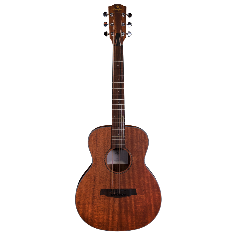 Guitare Acoustique BB27 MHS Traveler + housse Prodipe