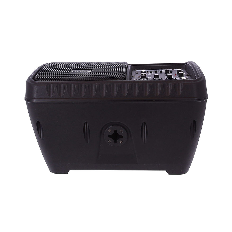 Miniature : ENCEINTE AMPLIFIEE DEFINITIVE AUDIO VIZO 6A BT
