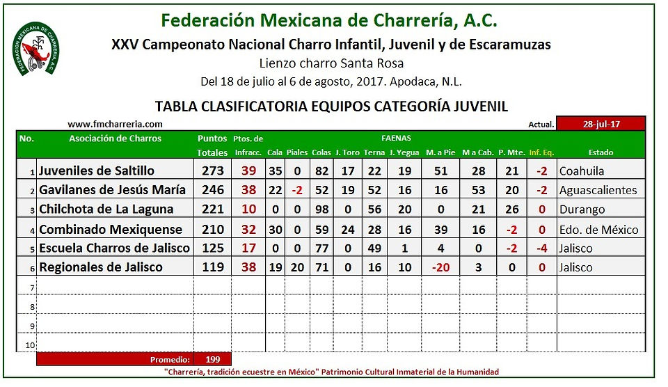 Cat Juvenil