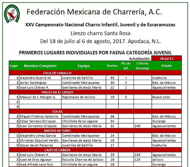 Cat Juvenil individuales