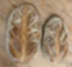 Oval Italian Bread