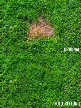 Vorher-Nachher-Vergleich eines bearbeiteten Fotos, bei dem ein beschädigter Bereich durch präzise Retusche nahtlos ergänzt wurde.