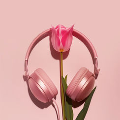 Rosa Kopfhörer mit pinkfarbener Tulpe auf pastellrosa Hintergrund