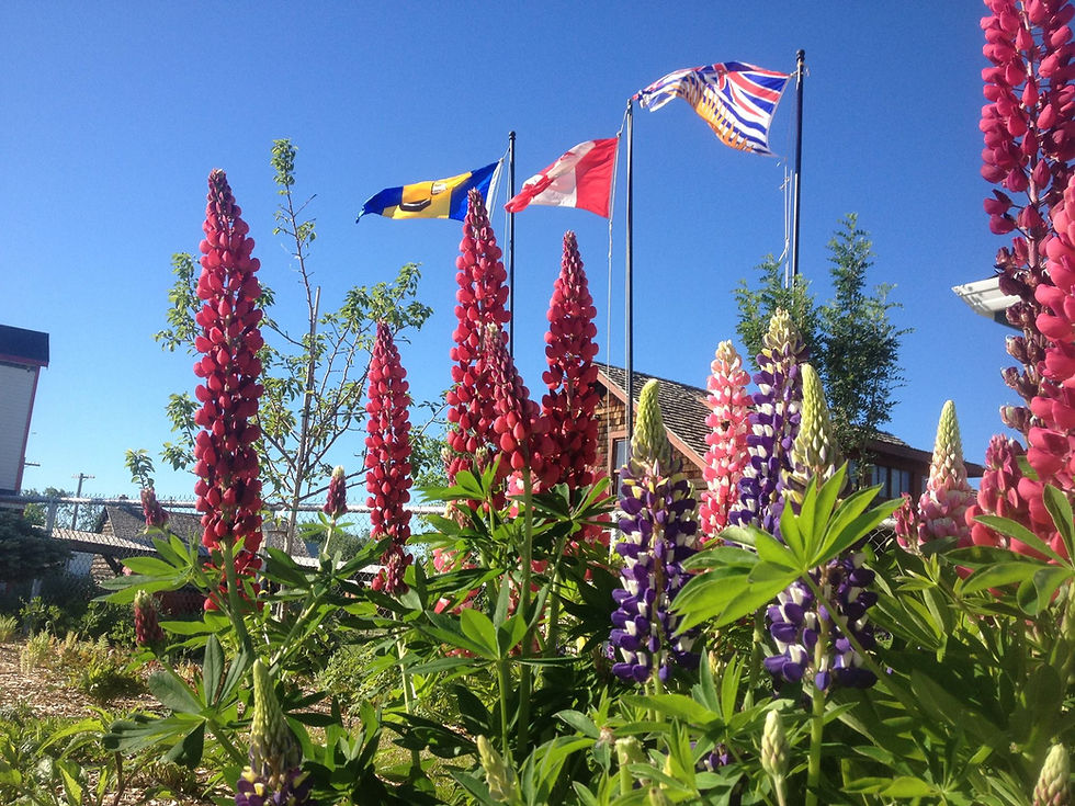 Mile 0 Park Entrance Flowers