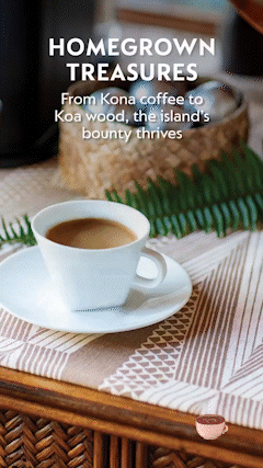 ae80b04a3f554ac68fe7d46dab1510f7_MOV_AdobeCreativeCloudExpress.gif