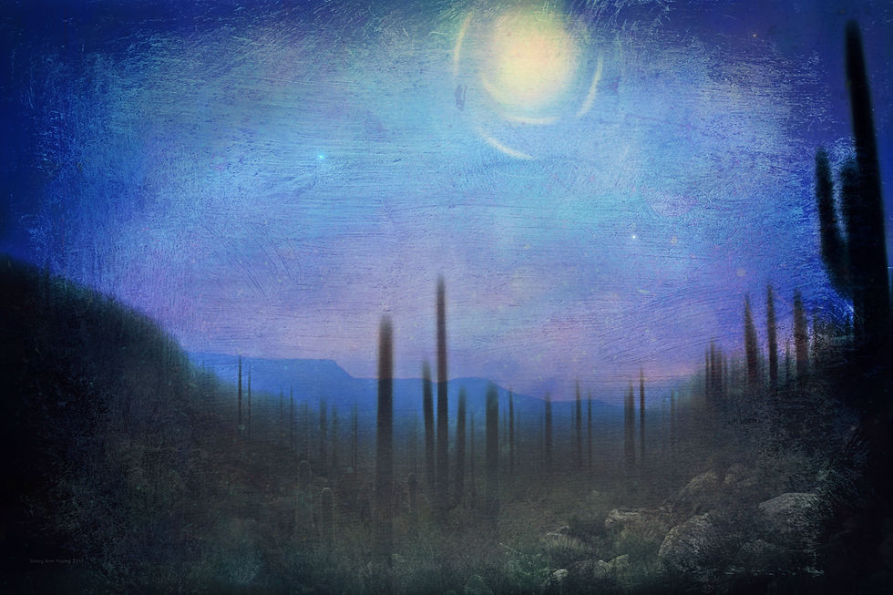 Spirits-of-Sonoran-Desert