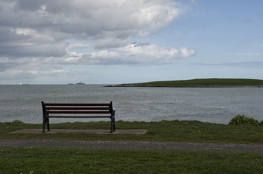 Skerries_Ship_Seagull_Final.jpg