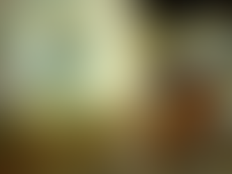 Van Gogh Paris Exhibition