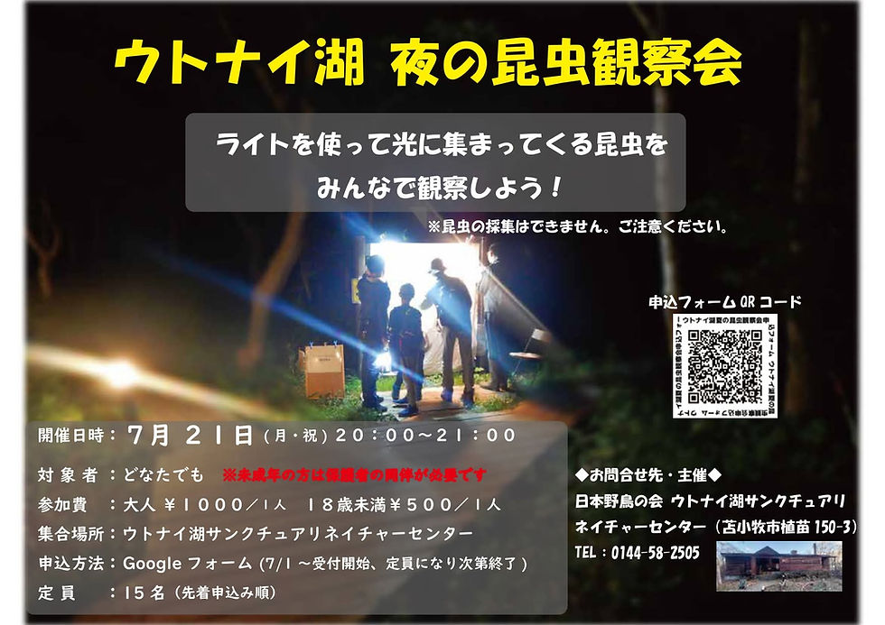【要申込】ウトナイ湖夜の昆虫観察会