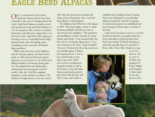WORKING TO BE... Kentucky's Primer Alpaca Farm:  EAGLE BEND ALPACAS