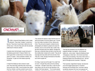 "Just them now, and their furry friends" BOONE COUNTY COUPLE MAKE ALPACAS THEIR ENCORE CAR