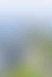 Vue sur la Dent du Chat sous le soleil d’été – photographe Savoie Rhône-Alpes, lac et montagne