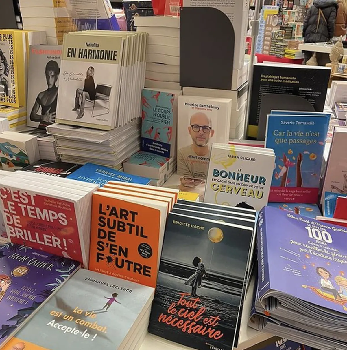 Livres “Tout le ciel est nécessaire” de Brigitte Hache en librairie, roman publié chez Eyrolles entouré d'autres livres