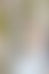 SÉANCE PHOTO MODE MARIAGE AVEC LA BLOGUEUSE NAËLLE DE ONCE IN PARIS