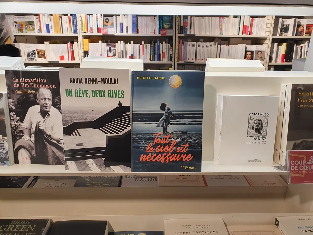 Le roman “Tout le ciel est nécessaire” de Brigitte Hache, publié chez Eyrolles sur une étagère à la Fnac