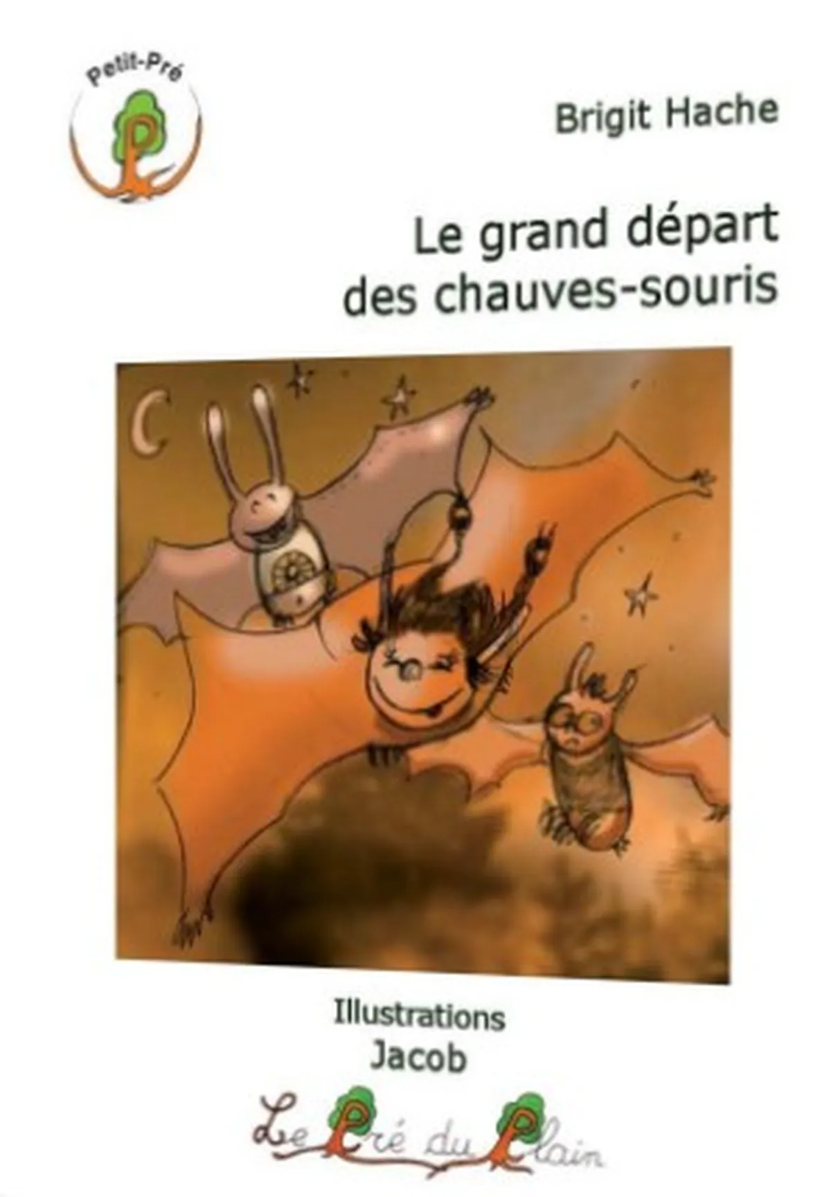 Couverture du roman jeunesse le grand départ des chauves-souris
