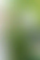 Photographe hôtelier Chambéry – jardin hôtel extérieur naturel