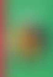Couverture du roman jeunesse Dian Fossey, l'ange gardien des gorilles écrit par Brigitte Hache 