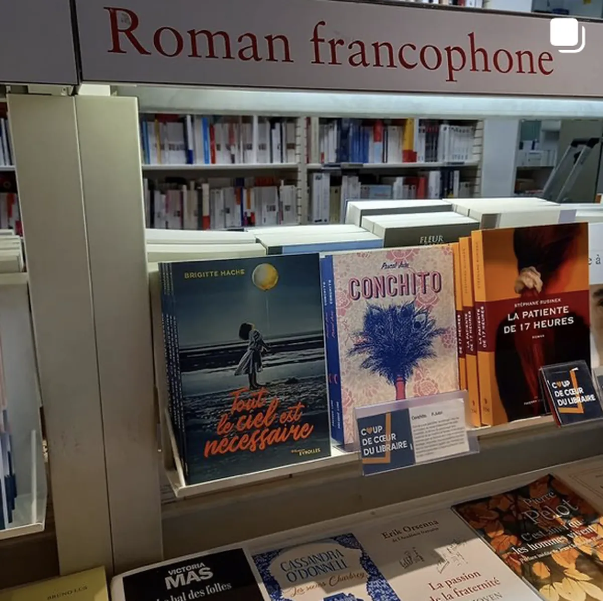 Le roman “Tout le ciel est nécessaire” de Brigitte Hache, publié chez Eyrolles sur une étagère à la Fnac