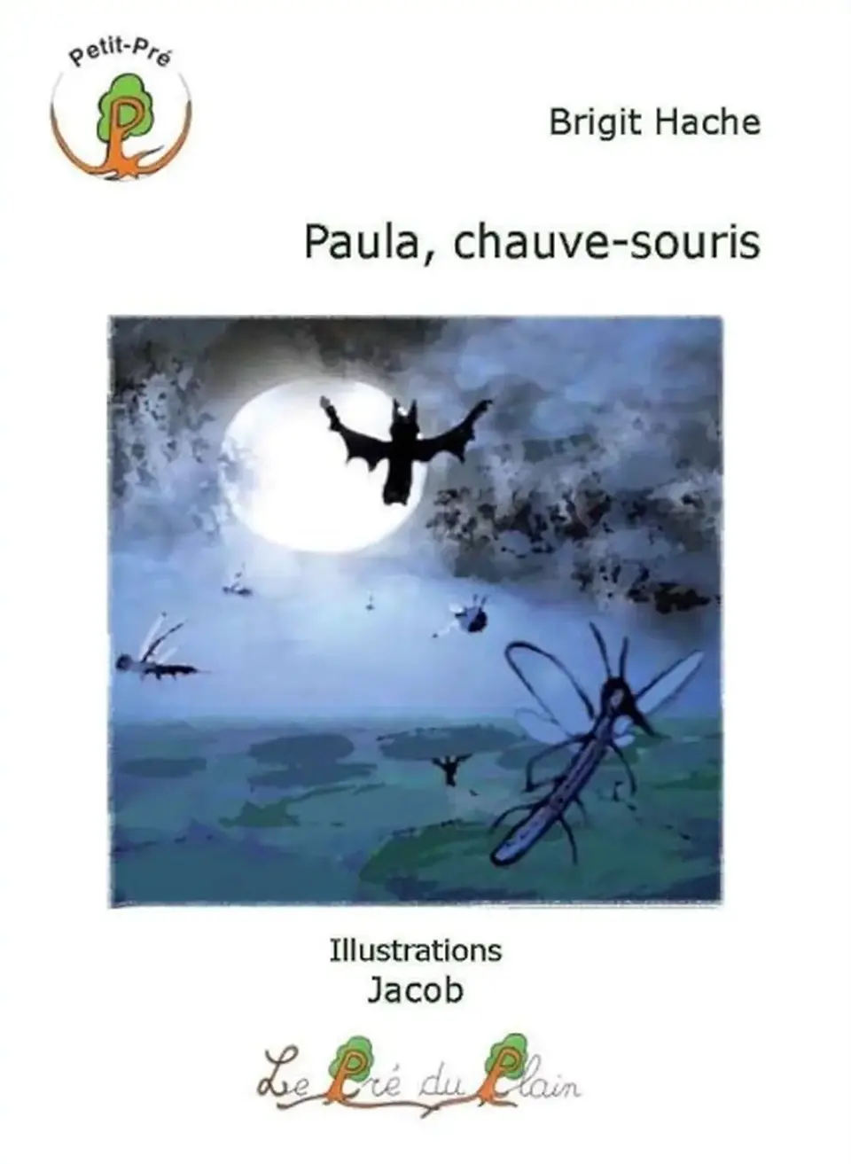 Couverture du roman jeunesse Paula, chauve-souris de Brigitte Hache