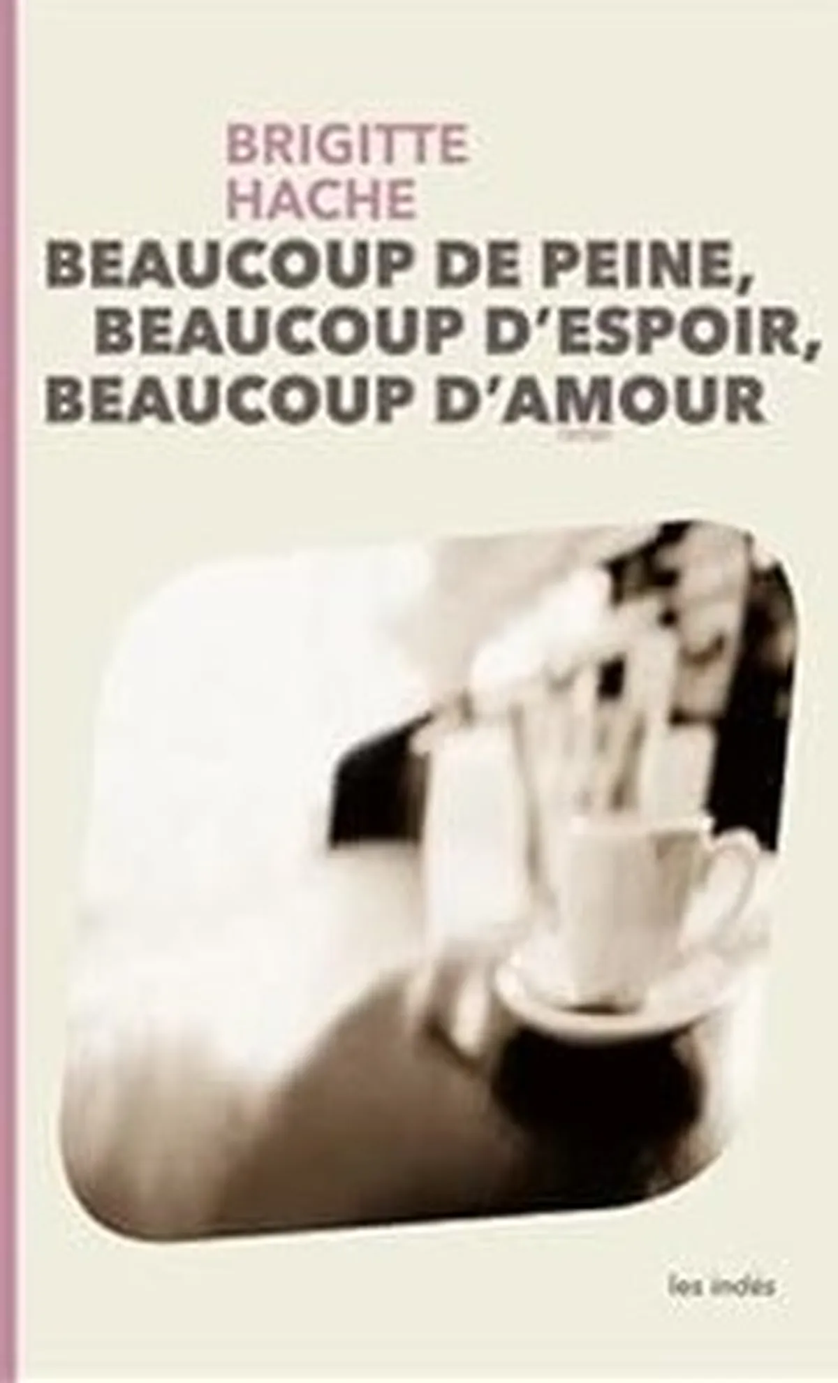 Couverture du roman beaucoup de peine, beaucoup d'espoir, beaucoup d'amour de Brigitte Hache 