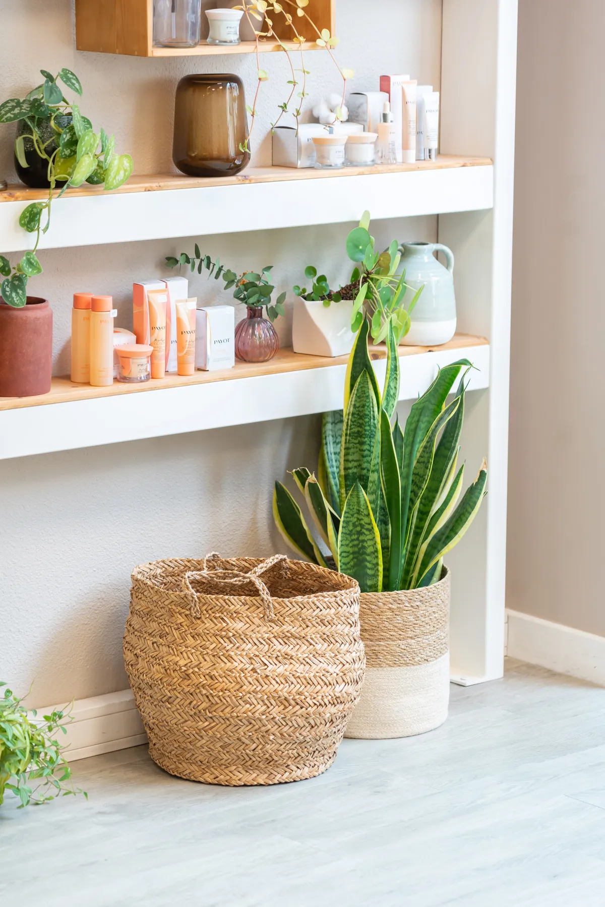 Photo entreprise Savoie – détail décoration plante panier institut beauté Yenne