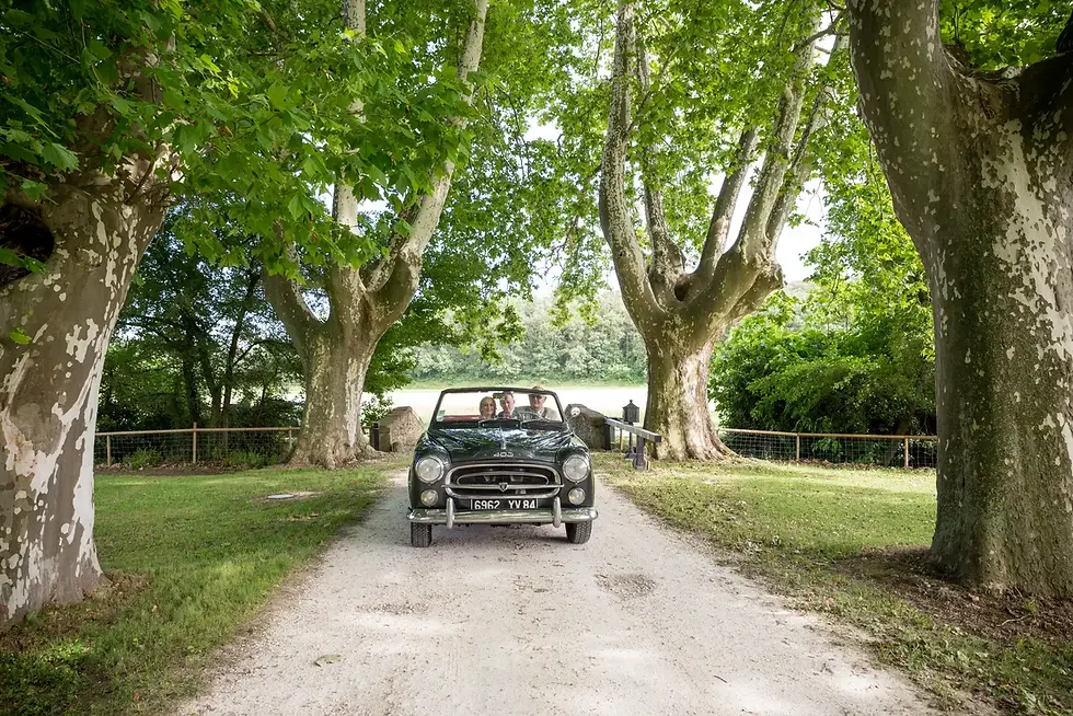 Photo mariage Provence – voiture allée verdure Mas Loisonville mariage