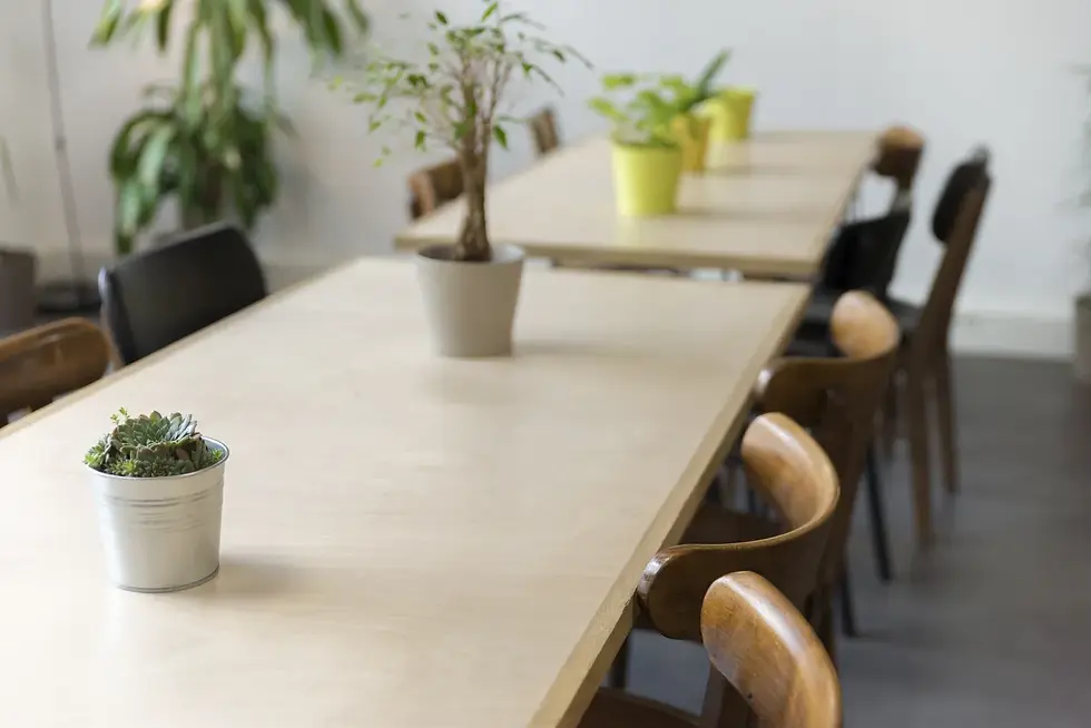 Photographe entreprise Savoie. Tables en bois clair avec plantes en pots dans une pièce lumineuse. Chaises marron autour. Ambiance paisible et naturelle.