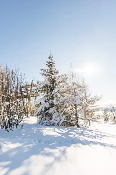 Photographe Aix-les-Bains - vue enneigée au mont Revard en Savoie