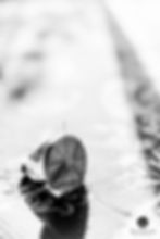 Photographe portrait artisan Aix-les-Bains Annecy Chambéry Savoie Haute-Savoie